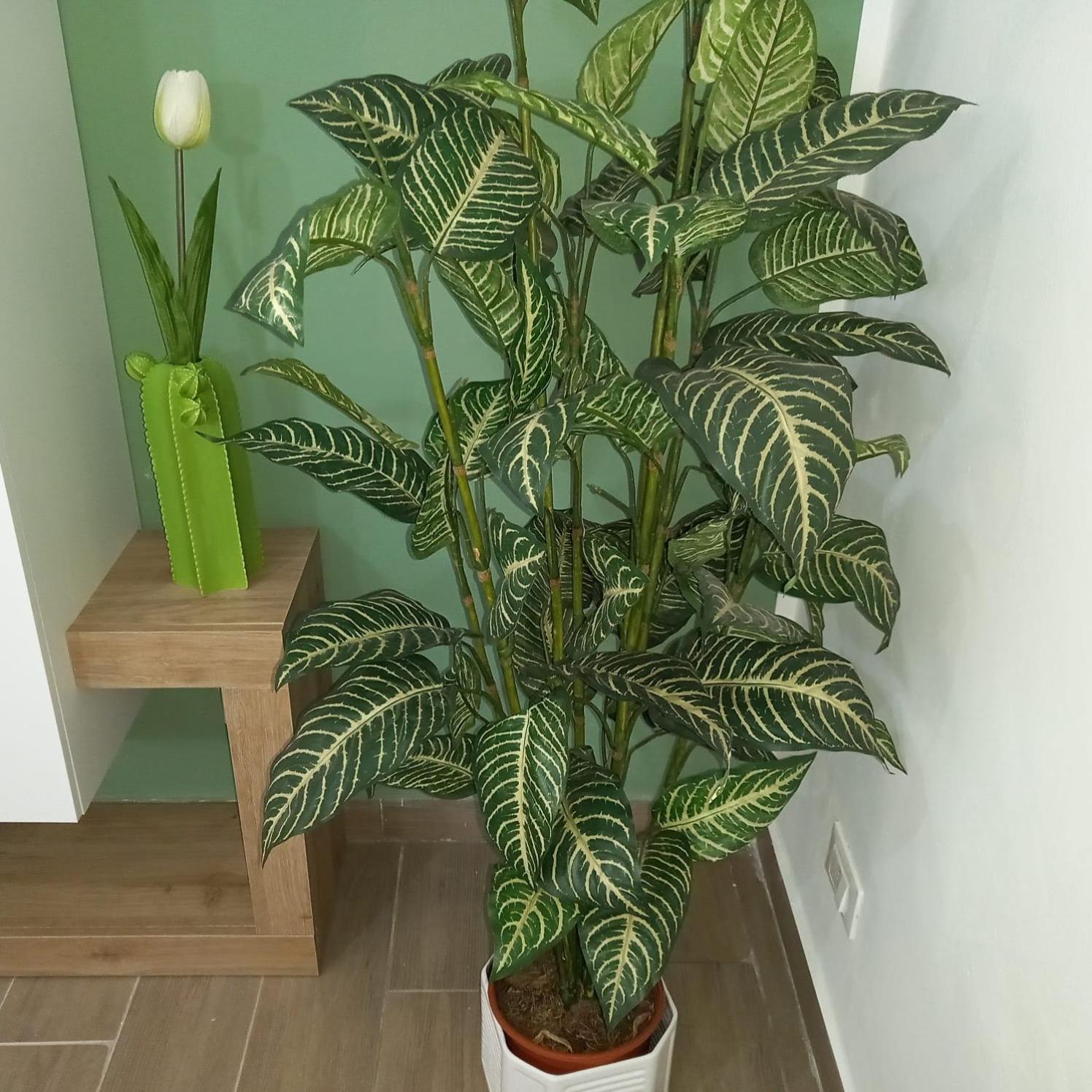 Apartament A Casa Di Lori Palermo Zewnętrze zdjęcie