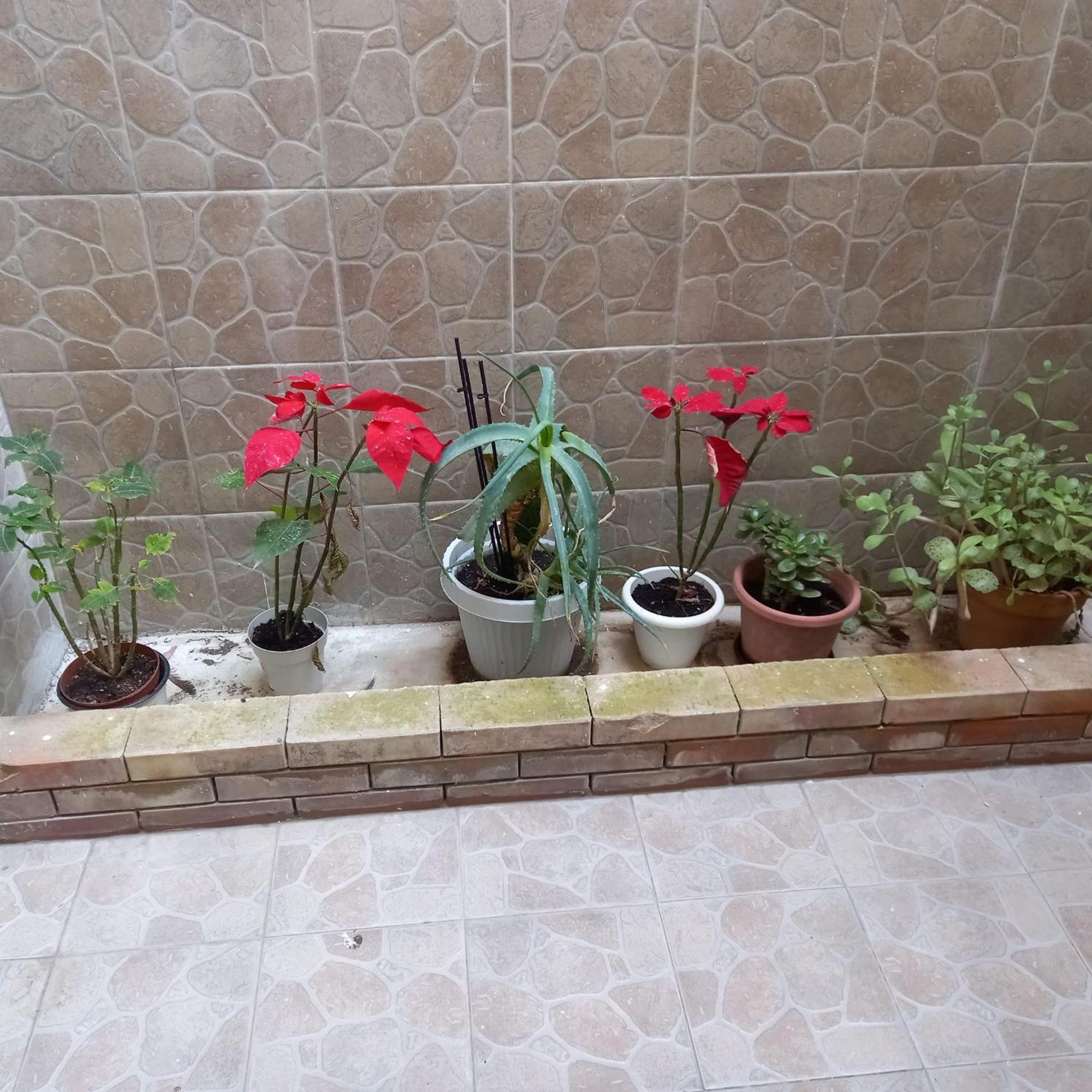 Apartament A Casa Di Lori Palermo Zewnętrze zdjęcie